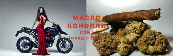 спиды Горняк