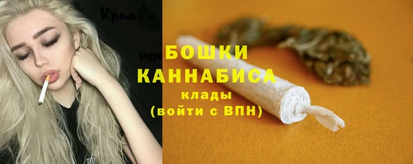 индика Корсаков
