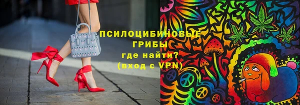 спиды Горняк