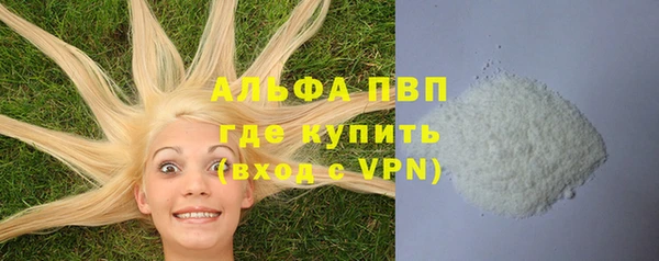 PSILOCYBIN Дмитров