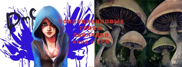 мдма Гусиноозёрск