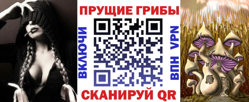 OMG ССЫЛКА  Дзержинский  это состав  Галлюциногенные грибы Cubensis 